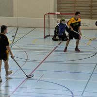 unihockeysm_2009_007.jpg