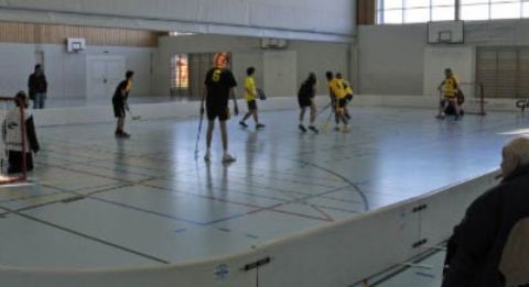 unihockeysm_2009_031.jpg
