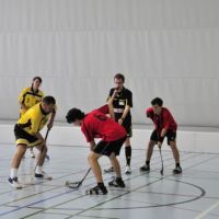 unihockeysm_2011_011.jpg
